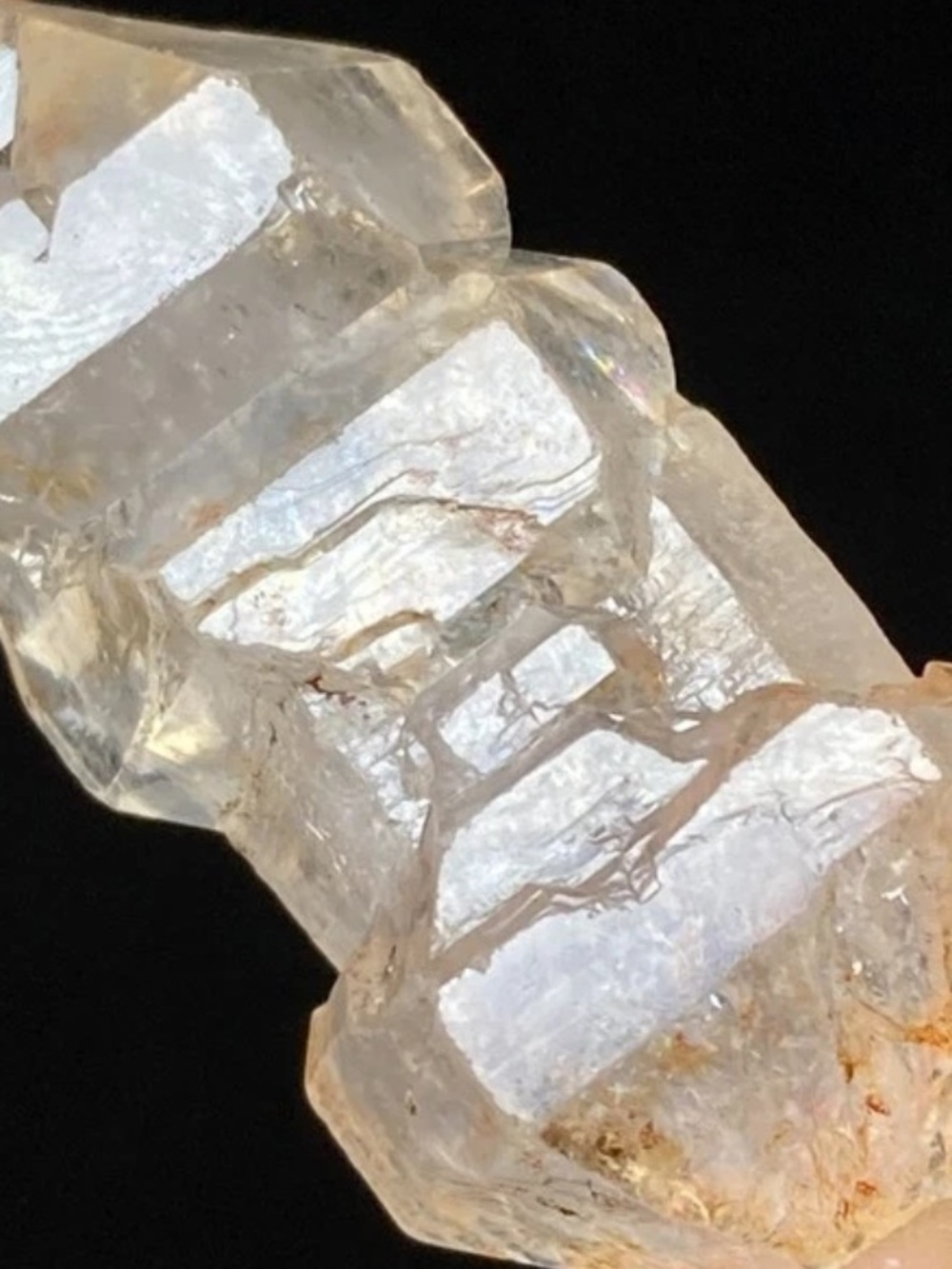 Super Skeletal FENSTER Golden Enhydros With Oil - Picture 10 of 12